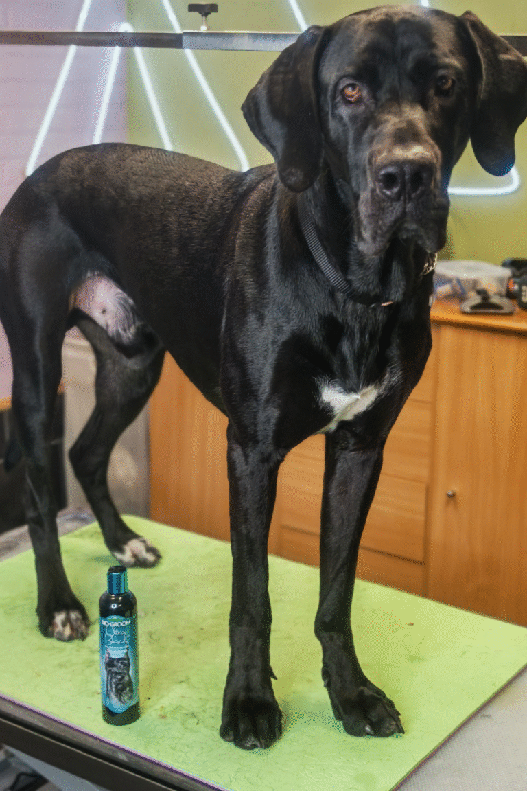 pilgren-hundesalon-hundefrisor-bad (3)